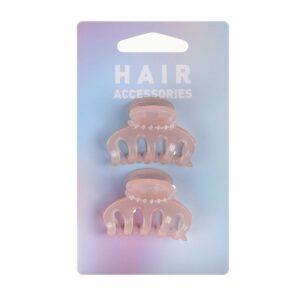 Mini claw clip 2pcs